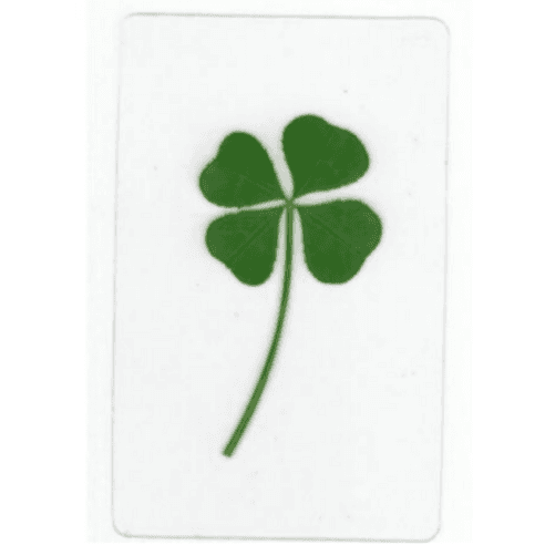 진짜 네잎클로버 코팅 카드 5개